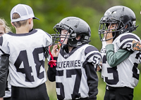 communty-football-Spartans-Warrioirs-Westshore-Goudy-SOUTHSIDE-DAWGS-HARWOOD;communty-football-Spartans-Warriors-Westshore-Goudy-SOUTHSIDE-DAWGS-HARWOOD-cowichan-bulldogs-nanaimo-footbAll-isn