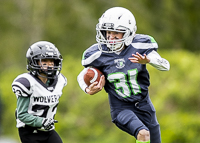 communty-football-Spartans-Warrioirs-Westshore-Goudy-SOUTHSIDE-DAWGS-HARWOOD;communty-football-Spartans-Warriors-Westshore-Goudy-SOUTHSIDE-DAWGS-HARWOOD-cowichan-bulldogs-nanaimo-footbAll-isn