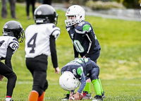 communty-football-Spartans-Warrioirs-Westshore-Goudy-SOUTHSIDE-DAWGS-HARWOOD;communty-football-Spartans-Warriors-Westshore-Goudy-SOUTHSIDE-DAWGS-HARWOOD-cowichan-bulldogs-nanaimo-footbAll-isn