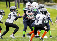 communty-football-Spartans-Warrioirs-Westshore-Goudy-SOUTHSIDE-DAWGS-HARWOOD;communty-football-Spartans-Warriors-Westshore-Goudy-SOUTHSIDE-DAWGS-HARWOOD-cowichan-bulldogs-nanaimo-footbAll-isn