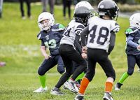 communty-football-Spartans-Warrioirs-Westshore-Goudy-SOUTHSIDE-DAWGS-HARWOOD;communty-football-Spartans-Warriors-Westshore-Goudy-SOUTHSIDE-DAWGS-HARWOOD-cowichan-bulldogs-nanaimo-footbAll-isn