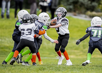 communty-football-Spartans-Warrioirs-Westshore-Goudy-SOUTHSIDE-DAWGS-HARWOOD;communty-football-Spartans-Warriors-Westshore-Goudy-SOUTHSIDE-DAWGS-HARWOOD-cowichan-bulldogs-nanaimo-footbAll-isn