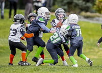 communty-football-Spartans-Warrioirs-Westshore-Goudy-SOUTHSIDE-DAWGS-HARWOOD;communty-football-Spartans-Warriors-Westshore-Goudy-SOUTHSIDE-DAWGS-HARWOOD-cowichan-bulldogs-nanaimo-footbAll-isn