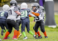 communty-football-Spartans-Warrioirs-Westshore-Goudy-SOUTHSIDE-DAWGS-HARWOOD;communty-football-Spartans-Warriors-Westshore-Goudy-SOUTHSIDE-DAWGS-HARWOOD-cowichan-bulldogs-nanaimo-footbAll-isn