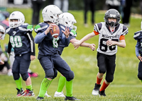 communty-football-Spartans-Warrioirs-Westshore-Goudy-SOUTHSIDE-DAWGS-HARWOOD;communty-football-Spartans-Warriors-Westshore-Goudy-SOUTHSIDE-DAWGS-HARWOOD-cowichan-bulldogs-nanaimo-footbAll-isn