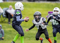 communty-football-Spartans-Warrioirs-Westshore-Goudy-SOUTHSIDE-DAWGS-HARWOOD;communty-football-Spartans-Warriors-Westshore-Goudy-SOUTHSIDE-DAWGS-HARWOOD-cowichan-bulldogs-nanaimo-footbAll-isn