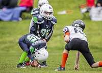 communty-football-Spartans-Warrioirs-Westshore-Goudy-SOUTHSIDE-DAWGS-HARWOOD;communty-football-Spartans-Warriors-Westshore-Goudy-SOUTHSIDE-DAWGS-HARWOOD-cowichan-bulldogs-nanaimo-footbAll-isn