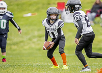 communty-football-Spartans-Warrioirs-Westshore-Goudy-SOUTHSIDE-DAWGS-HARWOOD;communty-football-Spartans-Warriors-Westshore-Goudy-SOUTHSIDE-DAWGS-HARWOOD-cowichan-bulldogs-nanaimo-footbAll-isn