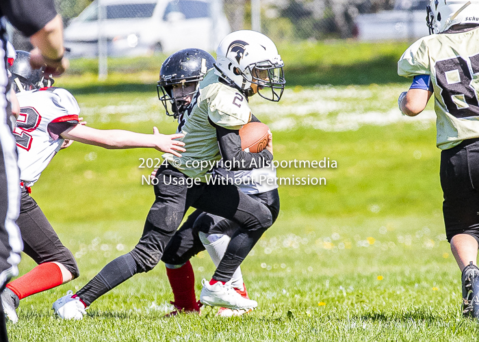 communty football Spartans Warrioirs Westshore Goudy;communty football Spartans Warrioirs Westshore Goudy SOUTHSIDE DAWGS  HARWOOD