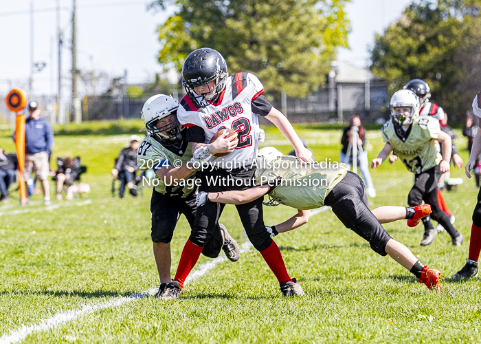 communty football Spartans Warrioirs Westshore Goudy;communty football Spartans Warrioirs Westshore Goudy SOUTHSIDE DAWGS  HARWOOD