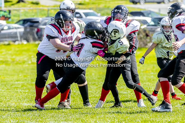 communty football Spartans Warrioirs Westshore Goudy;communty football Spartans Warrioirs Westshore Goudy SOUTHSIDE DAWGS  HARWOOD