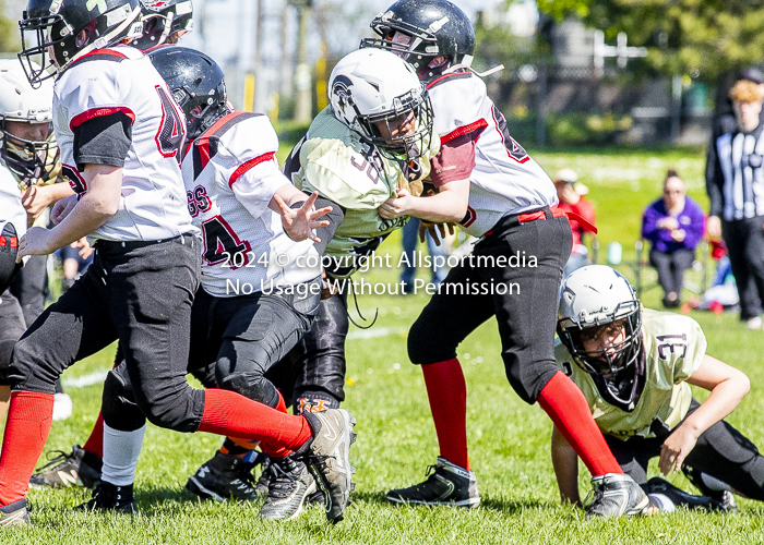 communty football Spartans Warrioirs Westshore Goudy;communty football Spartans Warrioirs Westshore Goudy SOUTHSIDE DAWGS  HARWOOD