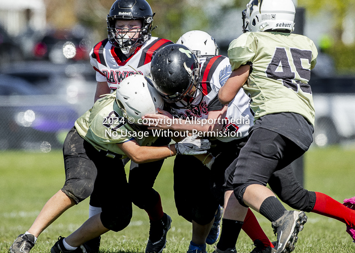 communty football Spartans Warrioirs Westshore Goudy;communty football Spartans Warrioirs Westshore Goudy SOUTHSIDE DAWGS  HARWOOD