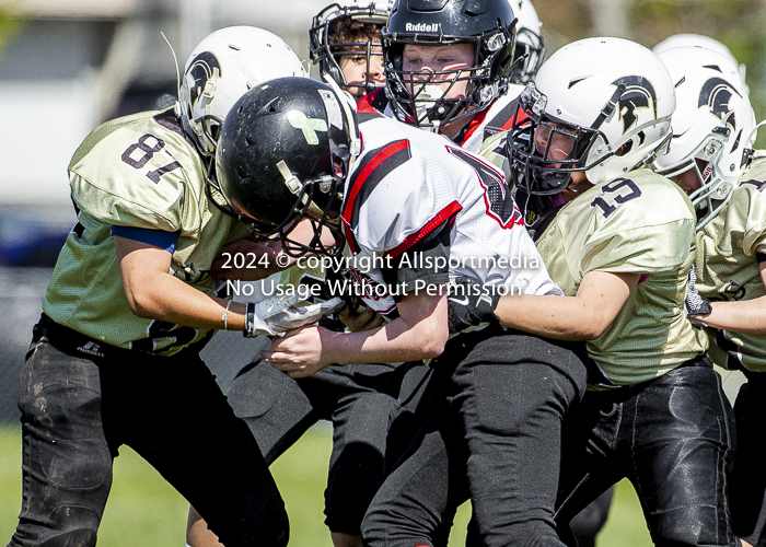 communty football Spartans Warrioirs Westshore Goudy;communty football Spartans Warrioirs Westshore Goudy SOUTHSIDE DAWGS  HARWOOD