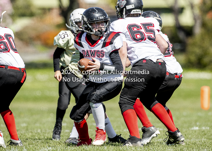 communty football Spartans Warrioirs Westshore Goudy;communty football Spartans Warrioirs Westshore Goudy SOUTHSIDE DAWGS  HARWOOD