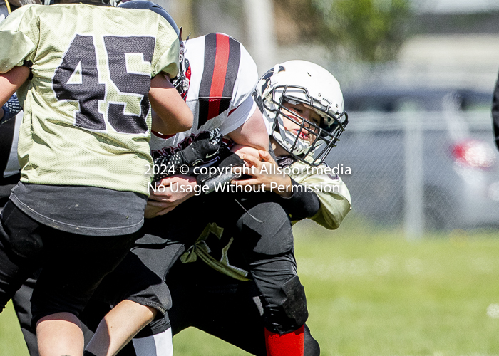 communty football Spartans Warrioirs Westshore Goudy;communty football Spartans Warrioirs Westshore Goudy SOUTHSIDE DAWGS  HARWOOD