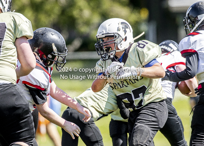 communty football Spartans Warrioirs Westshore Goudy;communty football Spartans Warrioirs Westshore Goudy SOUTHSIDE DAWGS  HARWOOD