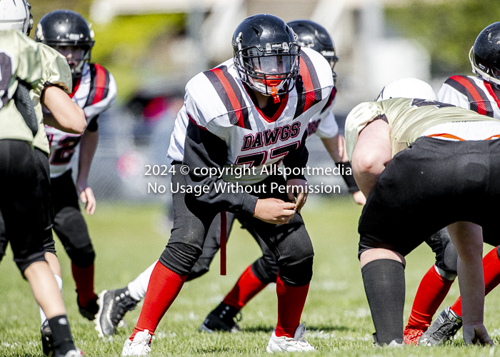 communty football Spartans Warrioirs Westshore Goudy;communty football Spartans Warrioirs Westshore Goudy SOUTHSIDE DAWGS  HARWOOD