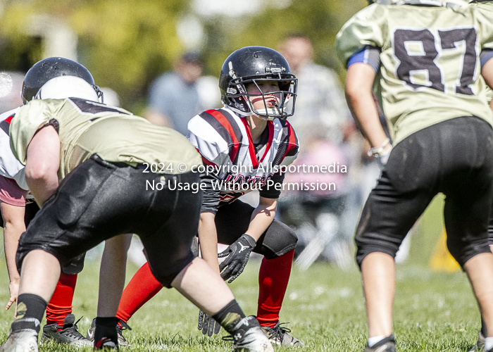 communty football Spartans Warrioirs Westshore Goudy;communty football Spartans Warrioirs Westshore Goudy SOUTHSIDE DAWGS  HARWOOD