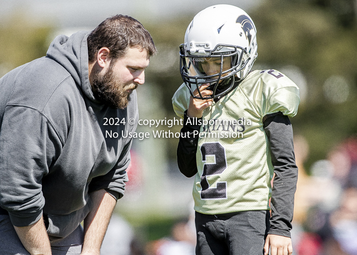 communty football Spartans Warrioirs Westshore Goudy;communty football Spartans Warrioirs Westshore Goudy SOUTHSIDE DAWGS  HARWOOD