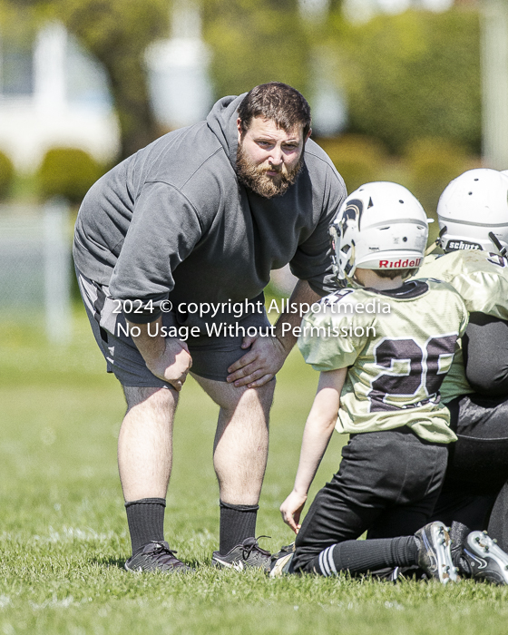 communty football Spartans Warrioirs Westshore Goudy;communty football Spartans Warrioirs Westshore Goudy SOUTHSIDE DAWGS  HARWOOD