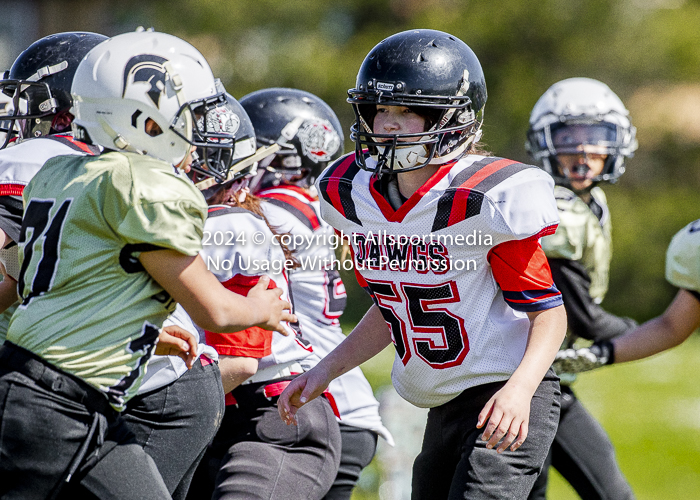 communty football Spartans Warrioirs Westshore Goudy;communty football Spartans Warrioirs Westshore Goudy SOUTHSIDE DAWGS  HARWOOD