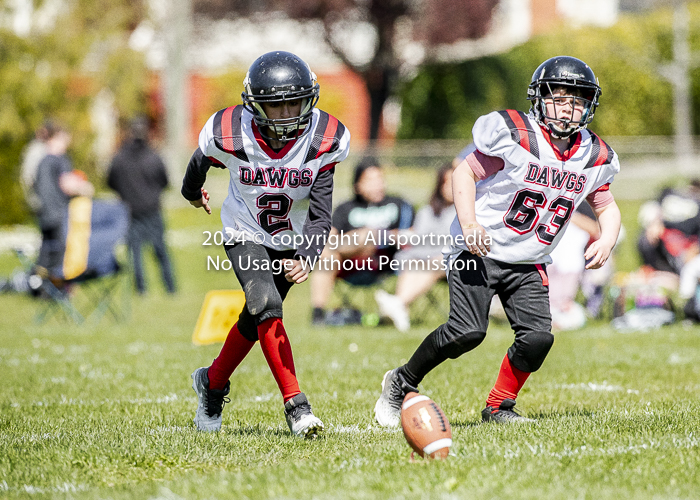 communty football Spartans Warrioirs Westshore Goudy;communty football Spartans Warrioirs Westshore Goudy SOUTHSIDE DAWGS  HARWOOD