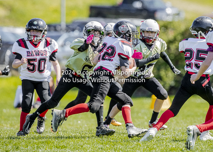 communty football Spartans Warrioirs Westshore Goudy;communty football Spartans Warrioirs Westshore Goudy SOUTHSIDE DAWGS  HARWOOD