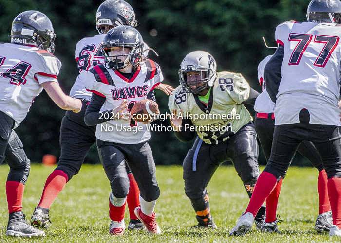 communty football Spartans Warrioirs Westshore Goudy;communty football Spartans Warrioirs Westshore Goudy SOUTHSIDE DAWGS  HARWOOD