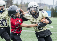 communty-football-Spartans-Warrioirs-Westshore-Goudy