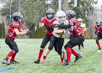 communty-football-Spartans-Warrioirs-Westshore-Goudy