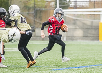 communty-football-Spartans-Warrioirs-Westshore-Goudy