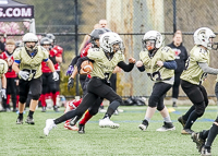 communty-football-Spartans-Warrioirs-Westshore-Goudy