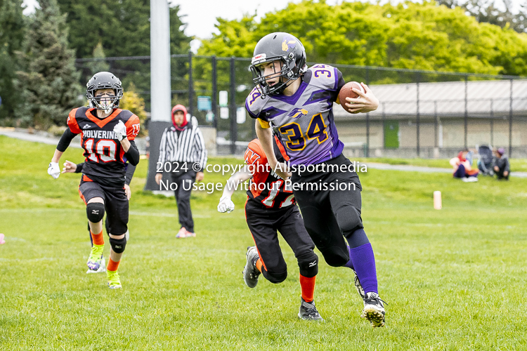 Oceanside Lions Parksville Saanich Wolverines GVMFA BCCPFA VICFA;communty football Spartans Warriors Westshore Goudy SOUTHSIDE DAWGS  HARWOOD cowichan bulldogs nanaimo footbsll isn