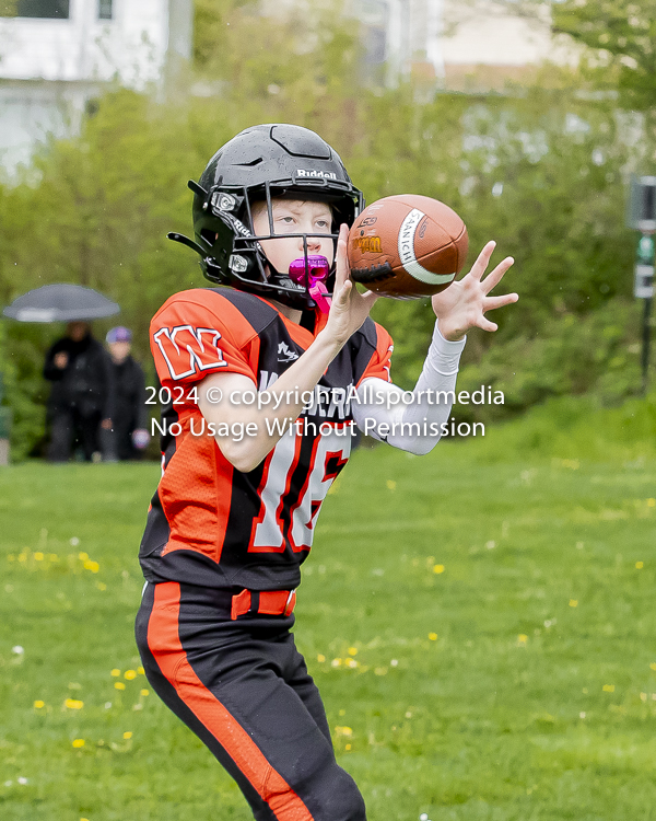 Oceanside Lions Parksville Saanich Wolverines GVMFA BCCPFA VICFA;communty football Spartans Warriors Westshore Goudy SOUTHSIDE DAWGS  HARWOOD cowichan bulldogs nanaimo footbsll isn