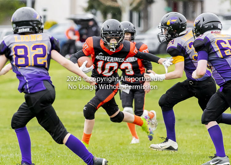 Oceanside Lions Parksville Saanich Wolverines GVMFA BCCPFA VICFA;communty football Spartans Warriors Westshore Goudy SOUTHSIDE DAWGS  HARWOOD cowichan bulldogs nanaimo footbsll isn