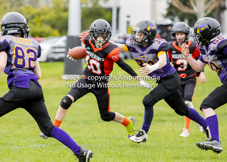 Oceanside Lions Parksville Saanich Wolverines GVMFA BCCPFA VICFA;communty football Spartans Warriors Westshore Goudy SOUTHSIDE DAWGS  HARWOOD cowichan bulldogs nanaimo footbsll isn