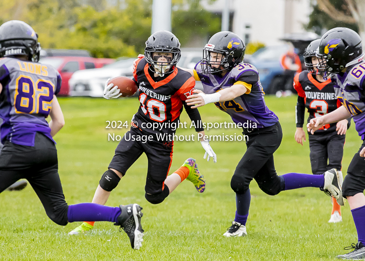 Oceanside Lions Parksville Saanich Wolverines GVMFA BCCPFA VICFA;communty football Spartans Warriors Westshore Goudy SOUTHSIDE DAWGS  HARWOOD cowichan bulldogs nanaimo footbsll isn