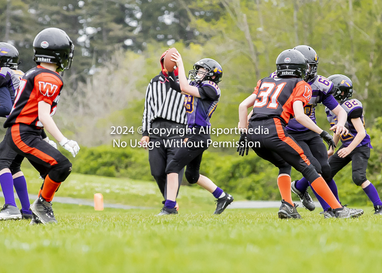 Oceanside Lions Parksville Saanich Wolverines GVMFA BCCPFA VICFA;communty football Spartans Warriors Westshore Goudy SOUTHSIDE DAWGS  HARWOOD cowichan bulldogs nanaimo footbsll isn