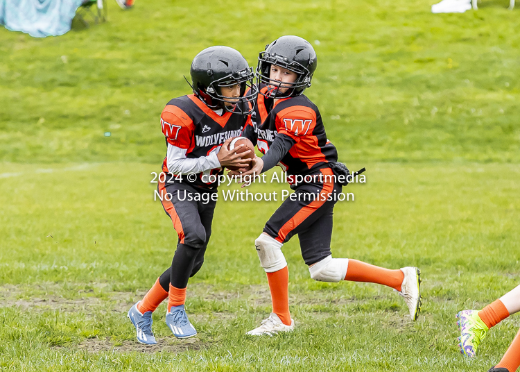 Oceanside Lions Parksville Saanich Wolverines GVMFA BCCPFA VICFA;communty football Spartans Warriors Westshore Goudy SOUTHSIDE DAWGS  HARWOOD cowichan bulldogs nanaimo footbsll isn