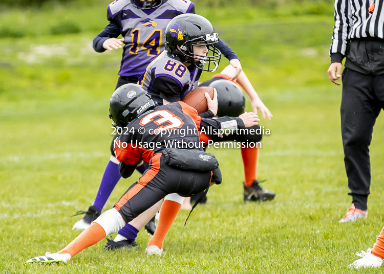 Oceanside Lions Parksville Saanich Wolverines GVMFA BCCPFA VICFA;communty football Spartans Warriors Westshore Goudy SOUTHSIDE DAWGS  HARWOOD cowichan bulldogs nanaimo footbsll isn