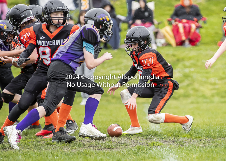 Oceanside Lions Parksville Saanich Wolverines GVMFA BCCPFA VICFA;communty football Spartans Warriors Westshore Goudy SOUTHSIDE DAWGS  HARWOOD cowichan bulldogs nanaimo footbsll isn