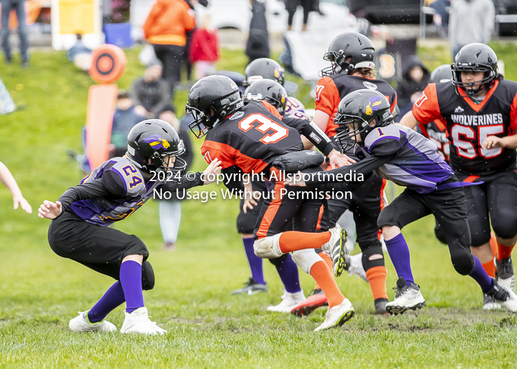 Oceanside Lions Parksville Saanich Wolverines GVMFA BCCPFA VICFA;communty football Spartans Warriors Westshore Goudy SOUTHSIDE DAWGS  HARWOOD cowichan bulldogs nanaimo footbsll isn