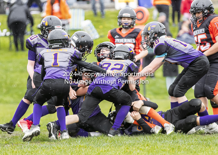 Oceanside Lions Parksville Saanich Wolverines GVMFA BCCPFA VICFA;communty football Spartans Warriors Westshore Goudy SOUTHSIDE DAWGS  HARWOOD cowichan bulldogs nanaimo footbsll isn