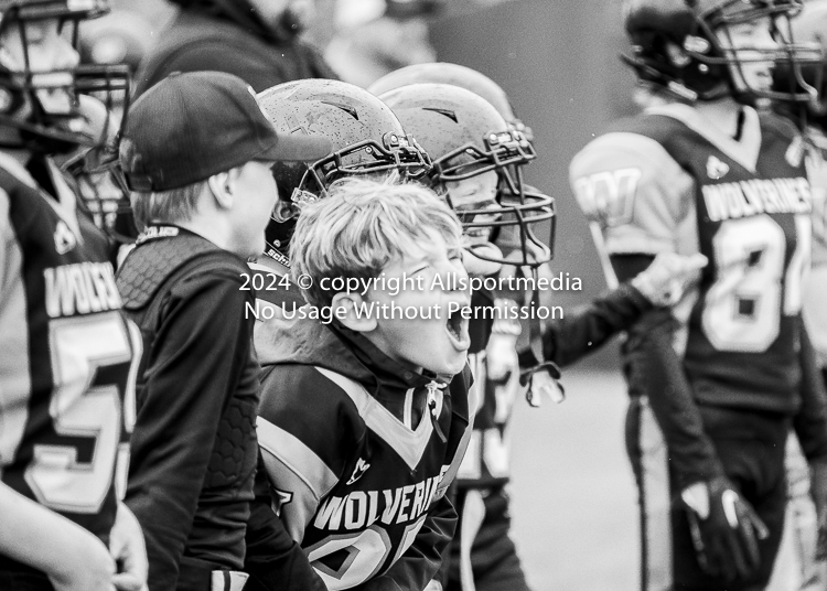 Oceanside Lions Parksville Saanich Wolverines GVMFA BCCPFA VICFA;communty football Spartans Warriors Westshore Goudy SOUTHSIDE DAWGS  HARWOOD cowichan bulldogs nanaimo footbsll isn