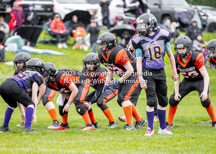 Oceanside Lions Parksville Saanich Wolverines GVMFA BCCPFA VICFA;communty football Spartans Warriors Westshore Goudy SOUTHSIDE DAWGS  HARWOOD cowichan bulldogs nanaimo footbsll isn