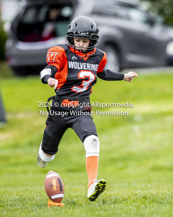 Oceanside Lions Parksville Saanich Wolverines GVMFA BCCPFA VICFA;communty football Spartans Warriors Westshore Goudy SOUTHSIDE DAWGS  HARWOOD cowichan bulldogs nanaimo footbsll isn