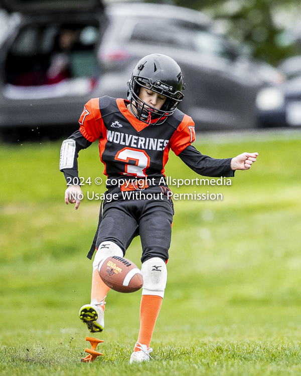 Oceanside Lions Parksville Saanich Wolverines GVMFA BCCPFA VICFA;communty football Spartans Warriors Westshore Goudy SOUTHSIDE DAWGS  HARWOOD cowichan bulldogs nanaimo footbsll isn