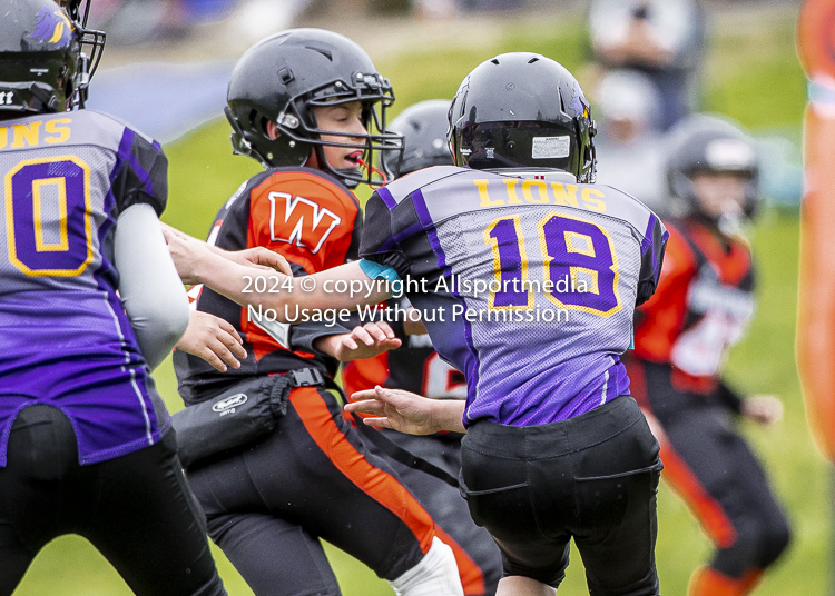 Oceanside Lions Parksville Saanich Wolverines GVMFA BCCPFA VICFA;communty football Spartans Warriors Westshore Goudy SOUTHSIDE DAWGS  HARWOOD cowichan bulldogs nanaimo footbsll isn