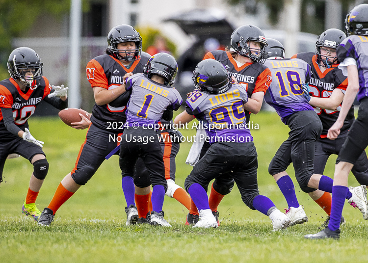 Oceanside Lions Parksville Saanich Wolverines GVMFA BCCPFA VICFA;communty football Spartans Warriors Westshore Goudy SOUTHSIDE DAWGS  HARWOOD cowichan bulldogs nanaimo footbsll isn